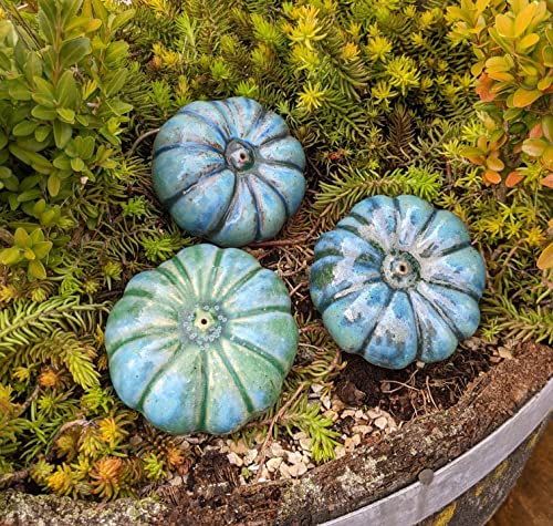 Generisch NEU !! Kleine Kürbisse 3er Set aus frostfesten Steinzeug 10x 7 cm grünblau glasiert Deko Halloween Garten Obst Figur Landhaus Herbst Erntedankfest