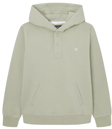 Hackett London Jungen Summer Vibes Hoody Sweatshirt, Grün (Seagrass Green), 15 Jahre