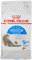 ROYAL CANIN Indoor Longhair Trockenfutter | 2 kg | Alleinfuttermittel speziell für Wohnungskatzen mit langem Fell | Mit angepasstem Energiegehalt | Verringerter Stuhlgeruch