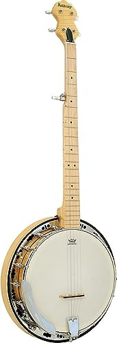 Ashbury AB-65 5 String Banjo