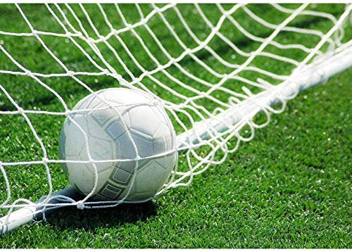 Dioche Fußballtornetz, Fußballtorpfosten Netz für Sport Match Training (24 * 8 Fuß)