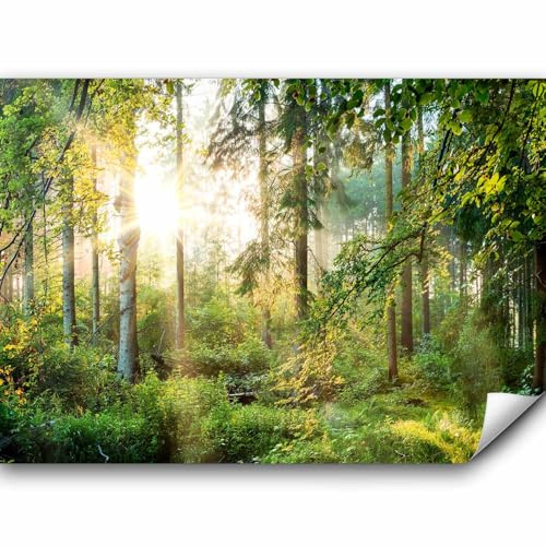 murando - Fototapete selbstklebend Wald, 392x280 cm, Schlafzimmer, Full HD | Selbstklebend ohne Kleister, Full HD Druck, ideal fürs Wohn- oder Schlafzimmer, schnelle Montage, lichtbeständig, geruchsfrei