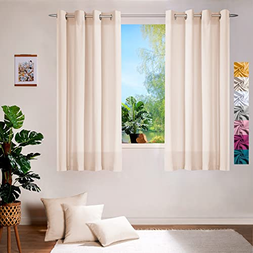 heimtexland ® Deko Vorhang Baumwolle Dekoschal Blickdicht Einfarbig Ösenschal Gardine Typ849 Natur HxB 160x140 cm