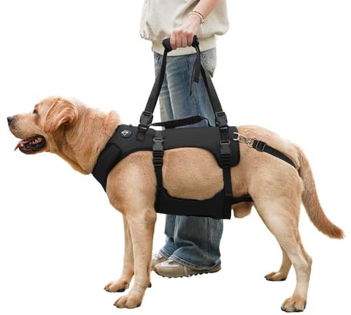 COODEO Hundegeschirr, Ganzkörperstütze und Erholungsweste, verstellbar und atmungsaktiv, für ältere, behinderte, gelenkverletzte, arthritische und gelähmte Hunde. (Schwarz, 2XL)