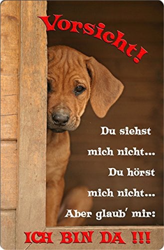 Nanyuk +++ Rhodesian Ridgeback - Metall Warnschild Schild Hundeschild Sign - RRB 04 T2