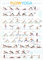 【Flow Yoga Poster】 Wanddiagramm für Stretching und Übung: Lehrposter für Yoga-Workout, Flussdiagramm mit Yoga-Haltungen, Übergängen & Sequenzen, Zwischenposen, leicht zu befolgen.