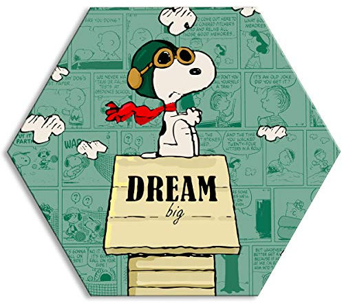 TELA Hexagonal - Bild gedruckt auf Leinwand und auf Rahmen aus PVC - Format 80 x 80 cm - Modell Snoopy - Dream Big