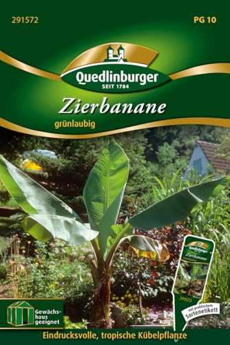 Quedlinburger 291572 Zierbanane (Kübelpflanzen)