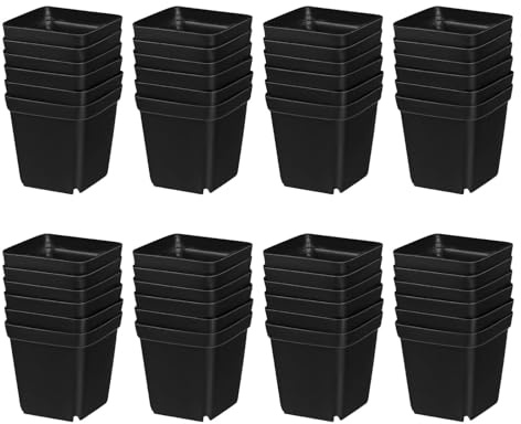 VICASKY 100 Quadratische Kunststoff Pflanztöpfe Schwarz 6cm Anzuchtbecher für Gemüse und Blumen Platzsparend und Vielseitig für Innenbereich und Hausgarten Geeignet