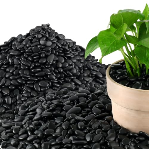 45lb Black Pebbles for Plants Aquarium Gravel Decorative Polished Stone Natural River Rocks for Plants (0.5- 1)