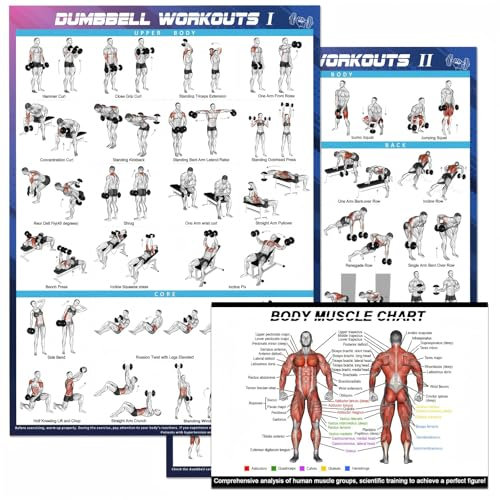 3-Pack Gym Posters Set – 2 x Dumbbell Workout Charts (16x24) + Muscle Anatomy Poster (12x8) – Home Gym Decor, Exercise Guide for Men & Women