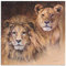 ARTland Wanddeko Wandbild Alu Verbundplatte für Innen & Outdoor Bild 70 x 70 cm Tiere Wildtiere Raubkatze Malerei Braun Löwen Porträts A1HA