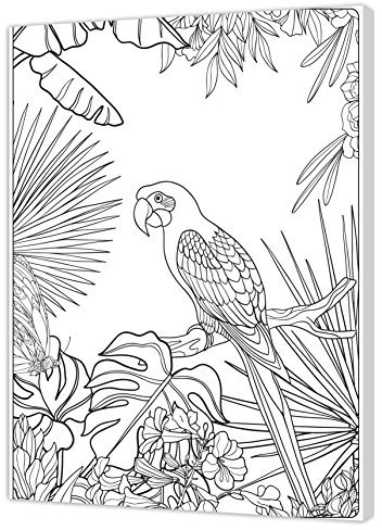 Pintcolor 7161.0 Rahmen mit bedruckter Leinwand zum Ausmalen, Fichtenholz/Baumwolle, Weiß/Schwarz, 40 x 50 x 3,5 cm, 100% Made in Italy