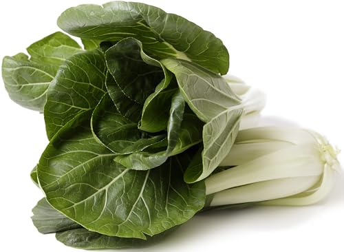 1000 Pak Choi Seeds for Planting - 3+ Grams - White Stem - Heirloom Non-GMO Vegetable Seeds for Planting - AKA Bok Choy, Pok Choi, Chinese Cabbage