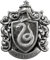 The Noble Collection Slytherin House Crest Harry Potter