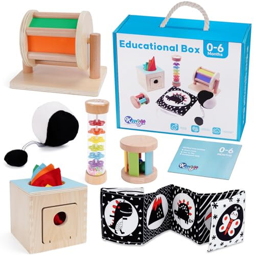Montessori Spielzeug ab 0-6 Monate | Lernbox Holzspielzeug für Babys Kleinkinder Neugeborene Spielzeug ab 1 jahr | Geschenke zum 1. Geburtstag für Jungen Mädchen im Alter von 0, 6, 12, 18 Monaten