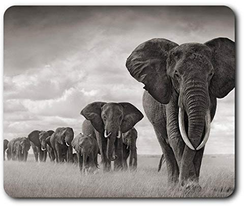 Destination Vinyl Ltd Comfortable Mouse Mat - African Elephant Herd 23.5 x 19.6 cm (9.3 x 7.7 inches) for Computer & Laptop, Office, Non-slip Base - RM8955