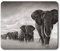 Destination Vinyl Ltd Comfortable Mouse Mat - African Elephant Herd 23.5 x 19.6 cm (9.3 x 7.7 inches) for Computer & Laptop, Office, Non-slip Base - RM8955