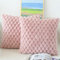 NIULAA Flauschig Kissenbezug 40x40 Rosa 2er Set Plüsch Deko Kissenbezüge Weich Gestreift Kissenhülle Luxus Pelz Dekokissen Sofakissen Zierkissen Kuschelig Kissen Bezüge Wohnzimmer Sofa