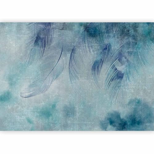 murando - Papier Peint Panoramique Intissé Nature 350x256 cm - Revêtement Mural pour Chambre Salon - Moderne Décoration Murale - Gris bleu - Abstraction plumes contexte texture b-A-0875-a-a