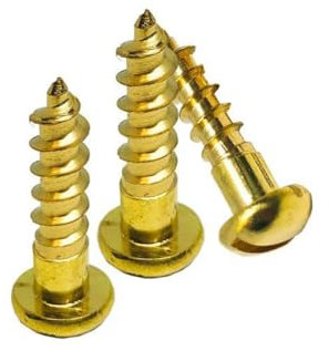 DQZRTUECA Vis à Bois autotaraudeuses en Laiton à tête Ronde Fendue chanfreinée M2-M5, Paquet de 20(M4 x 12 mm (20 Pcs))