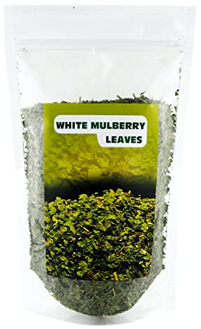Weiße Maulbeere Blatt Tee (Morus alba) 400G, geschnitten