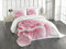 ABAKUHAUS Blassrosa Tagesdecke Set, Rosenblätter Schönheit, Set mit Kissenbezügen Romantischer Stil, für Doppelbetten 220 x 220 cm, Pale Pink White