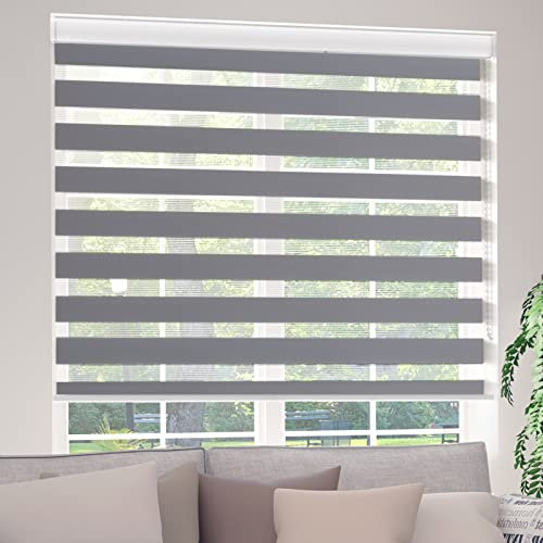 Bliwans Zebra Roller Shades, Zebra Blinds for Windows, Dual Layer, Sheer Privacy or Light Filtering for Day and Night, Roll Up and Down, Window Blinds for Home, Living Room, 22 W X 64 H, Grey