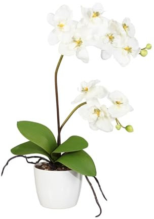 CREATIV green künstliche Orchidee 60 cm im Topf 13cm in Creme I künstliche Schmetterlingsorchidee wie echt mit 9 Blüten & 2 Stiele im weißen Keramiktopf I Pflegeleicht & täuschend echt