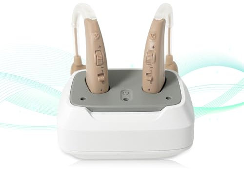 Delmicure Wireless Soundgerät mit intelligenter Geräuschunterdrückung, 4 Modi und einstellbarer Lautstärke, Packung mit 2 Einheiten (Dual)