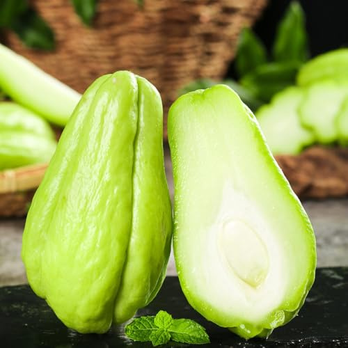 chayote balkonpflanze obstsamen baumsamen pflanzensamen zimmerpflanzen kletterpflanzen winterhart schnellwachsend balkongarten zwergobstbäume säulenobstbäume obstbaum gemüsesamen 100samen