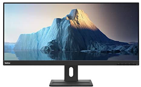 Lenovo THINKVISION E29W-20 Monitor MNTR