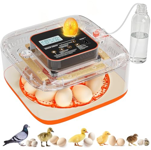 Incubators for Hatching Eggs 12 Egg One Click Hatching Egg Incubator Precision Auto Temp Humidity Control High Hatch Rate Auto Turner Auto Stop Turning Hatching Days Display for Chicken Duck Goose Egg