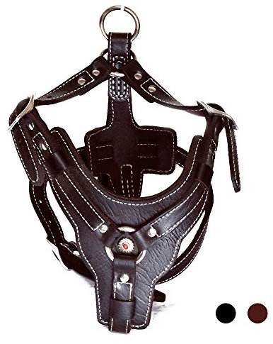 PESHOUCO Hundegeschirr aus Leder, handgefertigt, aus echtem Leder, langlebig, robust, mit verstellbaren Trägern, kein Ziehen, einfache Kontrolle, für mittelgroße und kleine Hunde, Dunkelbraun