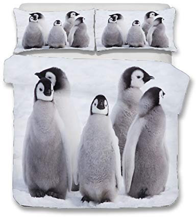 3D Ozean Land Tiere Bettwäsche-Set Eisbär Delfin Korallenriff Schildkröte Baby Pinguin Koala Dichtung Mehrfarbig Polyester Bettbezug 135x200 cm und Kissenbezug 80x80 cm (Grau,135 x 200 cm)