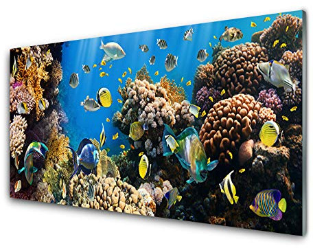 Tulup Glasbilder 100x50cm - Wandbild Druck auf Glas XXL Panorama-Bild Wandbilder aus Echt-Glas Sicherheitsglas Kunstdruck für Küche Wohnzimmer Korallenriff Natur