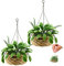 Skylety 2 Pieces 1:12 Miniature Dollhouse Plants Miniature Bonsai Plant Dollhouse Christmas Tree Mini Potted Houseplant Hanging Bonsai Pot Model for Toddlers Girls and Boys Toys DIY