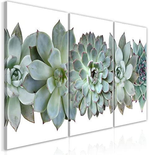 decomonkey Bilder Pflanzen 60x30 cm 3 Teilig Wandbild Groß Leinwandbild XXL Deko Wohnzimmer Schlafzimmer Büro Wanddeko Leinwand Pictures For Wall Poster Modern Agave Aloe Vera Botanik grün