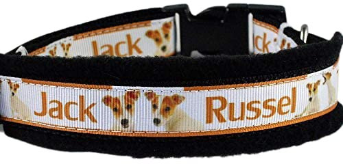 Halsband Jack Russel Terrier Größe SM 35-40 cm Halsumfang