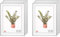 MARCOFOTO Set de 6 Marcos de Fotos 30x40 cm – PVC Color Plateado con Cristal – Marcos para Cuadros, Fotos o Laminas – Decoracion de Pared en Hogar, Oficina, Negocio o como Regalo