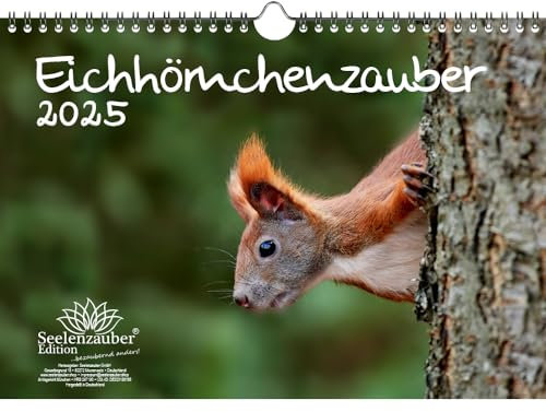 Eichhörnchenzauber DIN A4 Kalender für 2025 Eichhörnchen - Seelenzauber