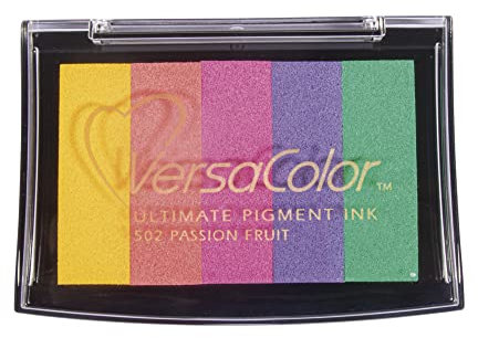Rayher 2839799 Tsukineko Versacolor Pigment Stempelkissen, Regenbogen, 5 Farben, Stempelfläche 4,7 x 7,5 cm, Tinte auf Wasserbasis, Stempelfarbe, Bunt