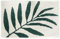 Tennove Bath Mats Non-Slip Bathroom Rug Green Leaf Soft Fluffy Microfiber Bathroom Floor Mat Water Absorbent Washable Bathtub Shower Rugs Kitchen Door Area Mat Carpet 40x60cm