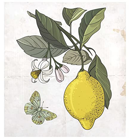 Naanle Geschirrspüler-Magnetabdeckung, Vintage-Blume, Zitrone, Vorderseite, Geschirrspülerabdeckung, magnetisch, Heimschrank, Aufkleber, Geräte, Aufkleber, Kühlschrank, dekorativ, 58,4 x 66 cm