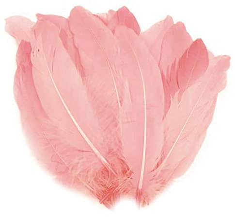 maDDma 20 Enten-Federn 15-21cm Bastelfedern Federn f. Basteln Dekoration Hüte Kostüme, Farbe:muschelrosa