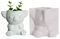 Ranuw Stampo in silicone a forma di koala, a forma di animali, per piante grasse, argilla, cemento, gesso, fai da te, casa, giardino, vasi di fiori, koala