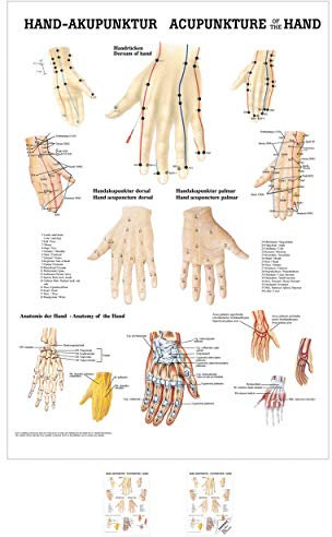 Sport-Tec Hand-Akupunktur Mini-Poster Anatomie 34x24 cm medizinische Lehrmittel