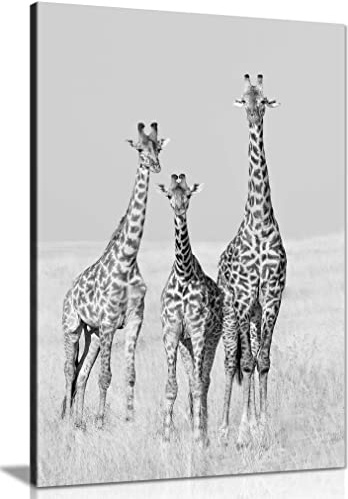 Panther Print Fine Art Prints Black & White Giraffe Family Artistic Framed Canvas Print, Pictures for Home Walls, Bedroom, Living Room & Bathroom Decor 76x51cm (30x20in)