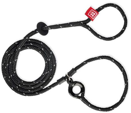 Harness Hundeleine mit Geschirr.