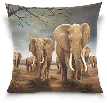HMZXZ Kissenbezug 40x40cm Afrika Tierwelt Elefant Dekorative quadratische Kissenbezüge Kissenhüller für Couch Sofa Schlafzimmer Wohnzimmer